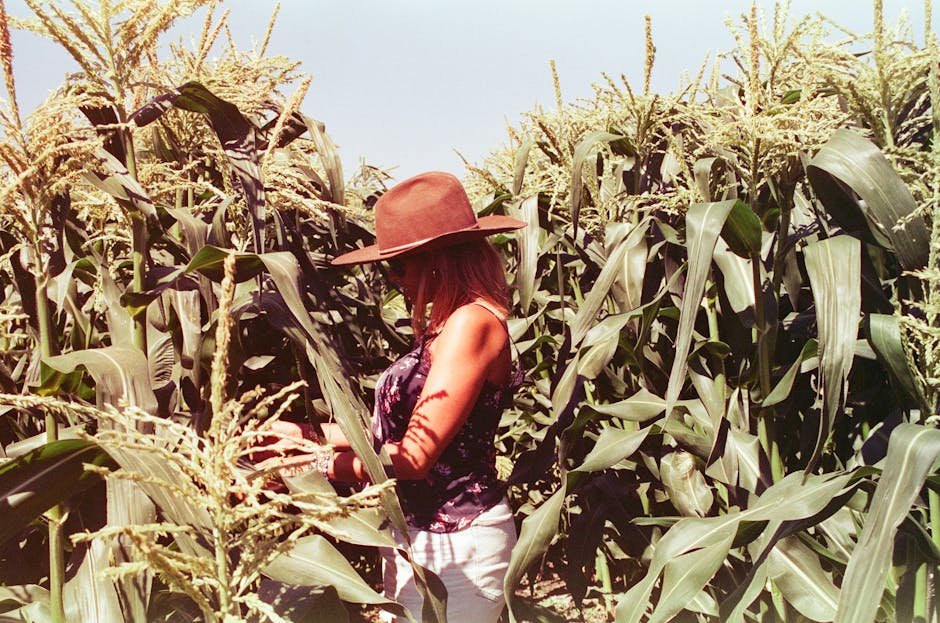 Cách Bảo Quản Hạt Cà Phê Ý Để Đạt Hương Vị Tốt Nhất: Bí Quyết Giữ Trọn Tinh Hoa Espresso